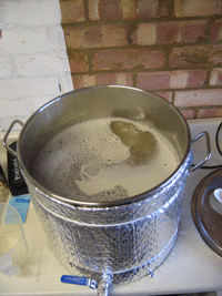 Wort coming to the boil